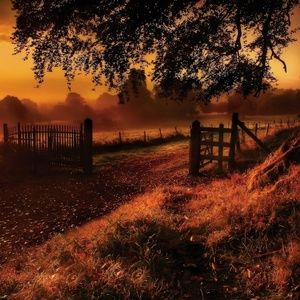 Meet your Posher, Mitchell